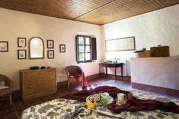 Fattoria Di Radi *
